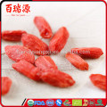 Wolfberry goji berry where are goji berries sold nutritional value of dried goji berries